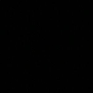 Meet your Posher, Audranetta